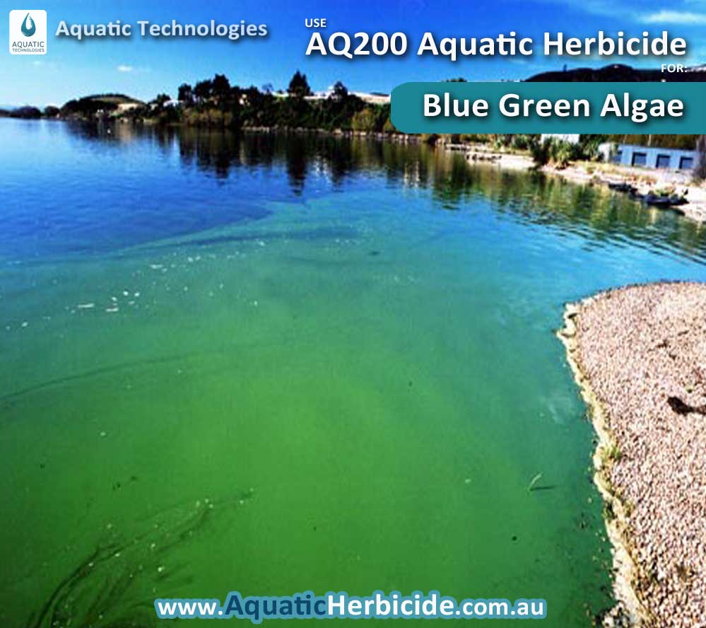 aquatic-technologies-herbicide-blue-green-algae-01