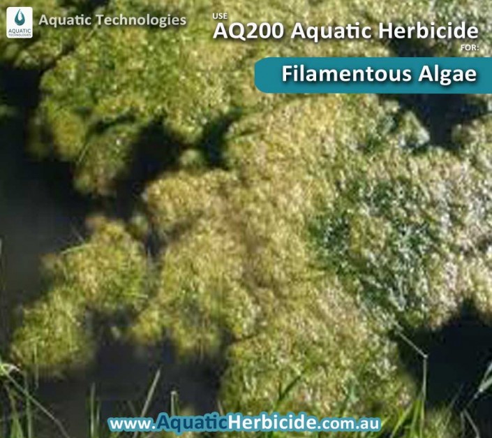 aquatic-technologies-herbicide-filamentous-algae-04
